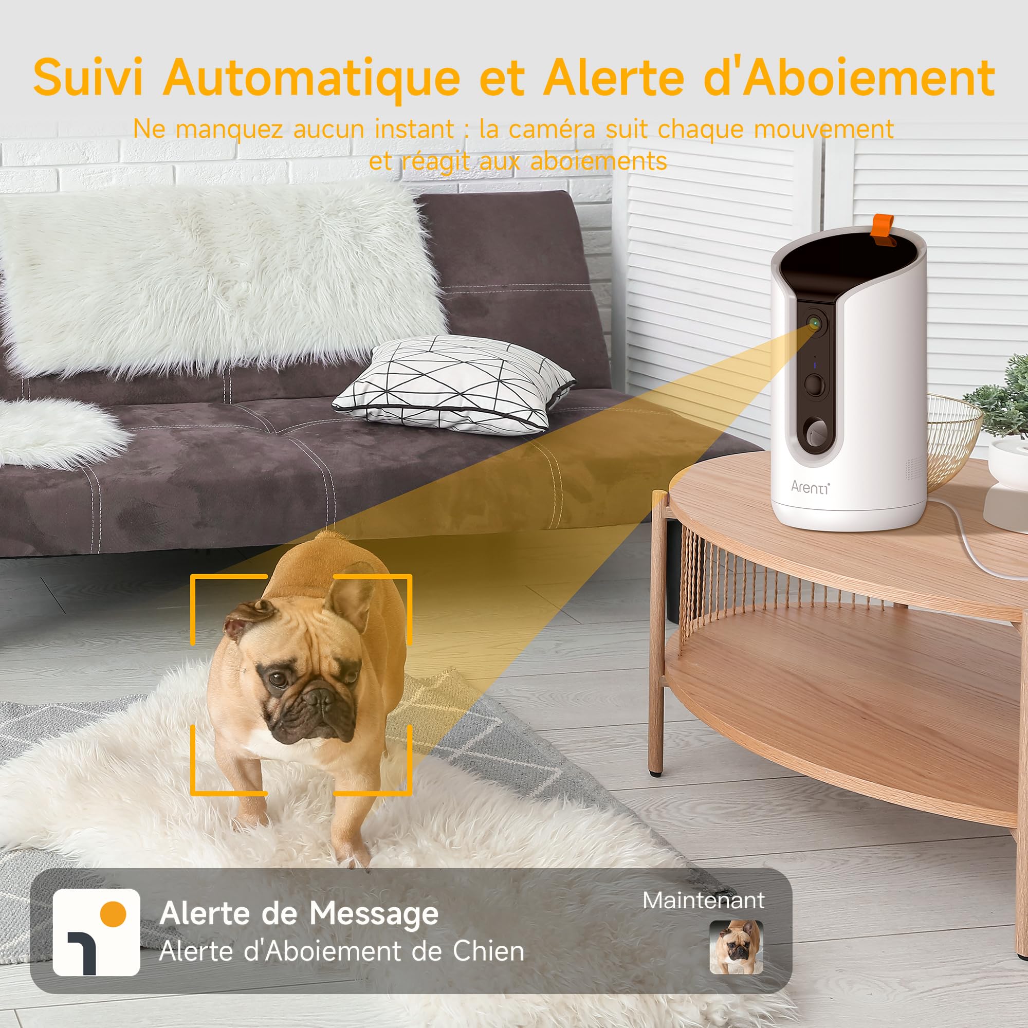 ARENTI Distributeur Automatique de Croquettes pour Chat avec Caméra WiFi, Caméra de Surveillance avec Distributeur, Alertes Intelligentes/Vision Nocturne, Audio Bidirectionnel, Alexa