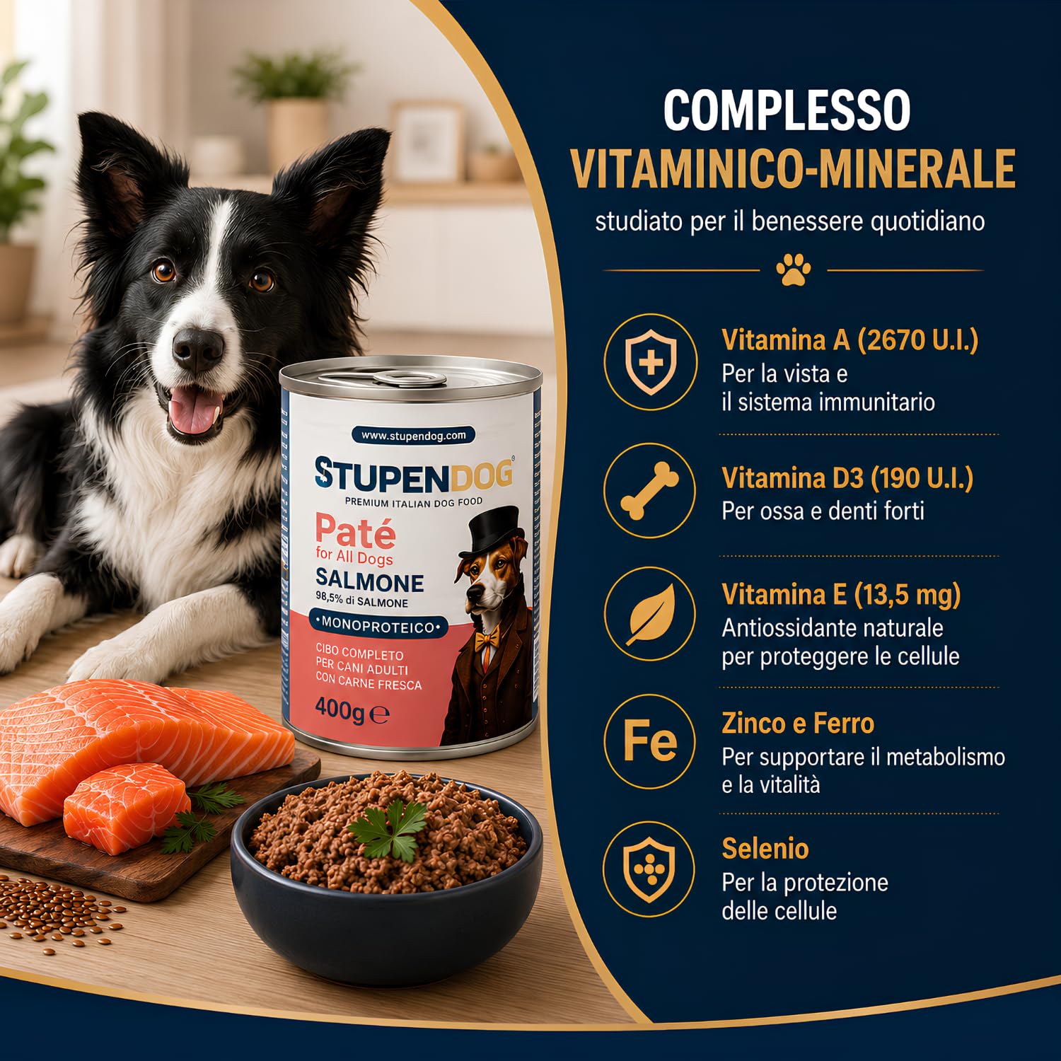 STUPENDOG Paté per Cani Monoproteico al Salmone con Semi di Lino - 98,5% Salmone Fresco, Ipoallergenico, Pelo Lucido, Pelle Sana – Cibo Umido Naturale per Cane Adulto (12 Confezioni - 400g)