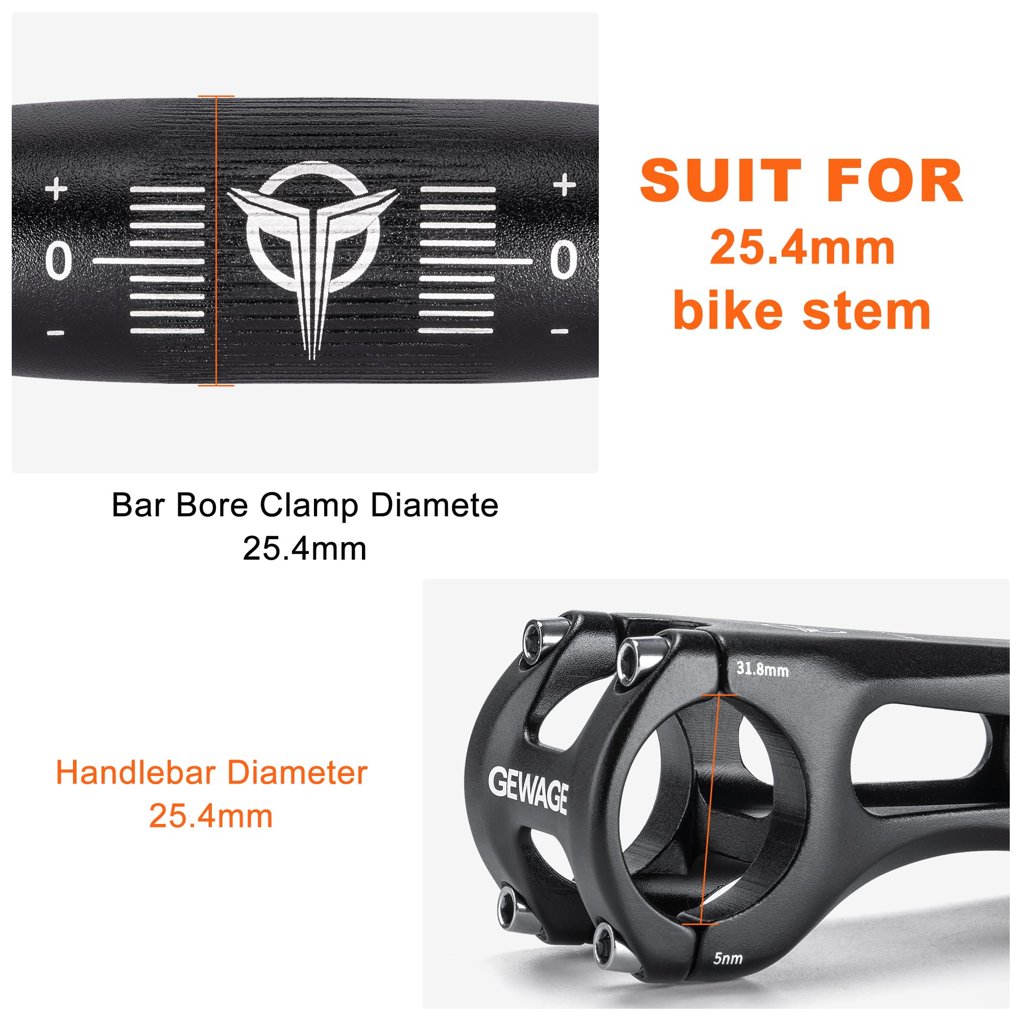 https://m.media-amazon.com/images/I/81hOOCtmLsL.jpg