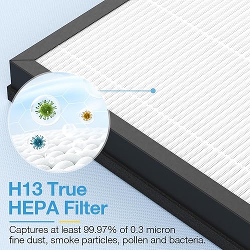 Miniatura 6 de HAP603 - Paquete de 2 filtros de repuesto compatibles con ECOSELF HAP603  HAP603WF, filtro de repuesto para purificadores de aire para el hogar,