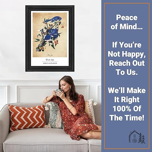 Vista 381 de Towee Bunting by James Audubon - Marco biselado negro de 12 x 16 pulgadas, decoración artística enmarcada para pared, reproducción de pinturas