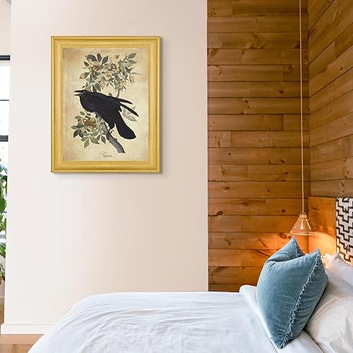 Vista 277 de Towee Bunting by James Audubon - Marco biselado negro de 12 x 16 pulgadas, decoración artística enmarcada para pared, reproducción de pinturas