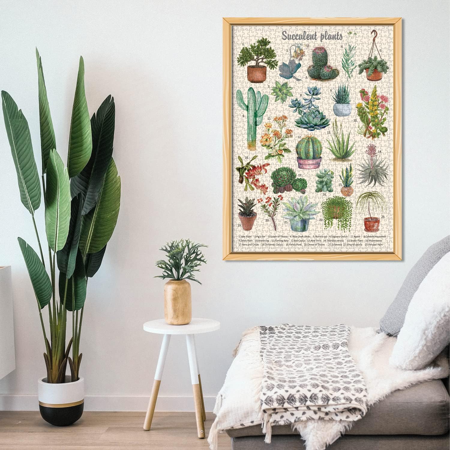 Buy Vintage Succulent Puzzles for Adults 1000 Pieces, House Plants