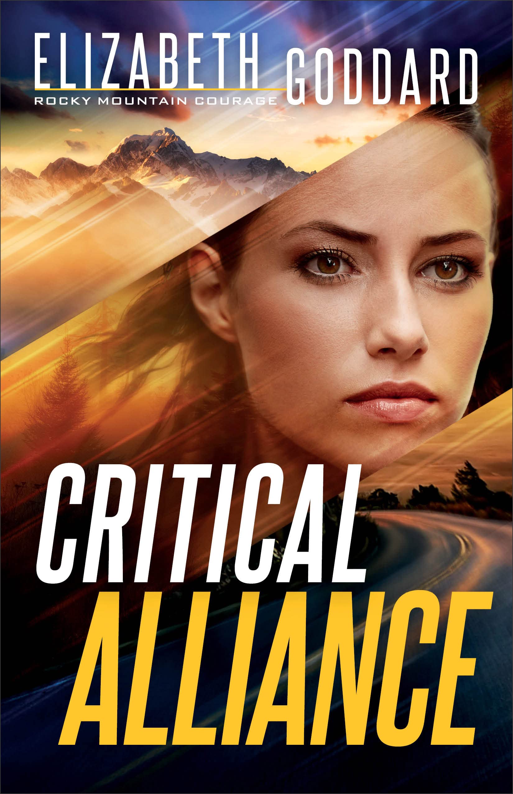 Critical Alliance (Rocky Mountain Courage Book #3): (Cyberattack Suspense and Clean Romance in the Montana Rocky Mountains)
