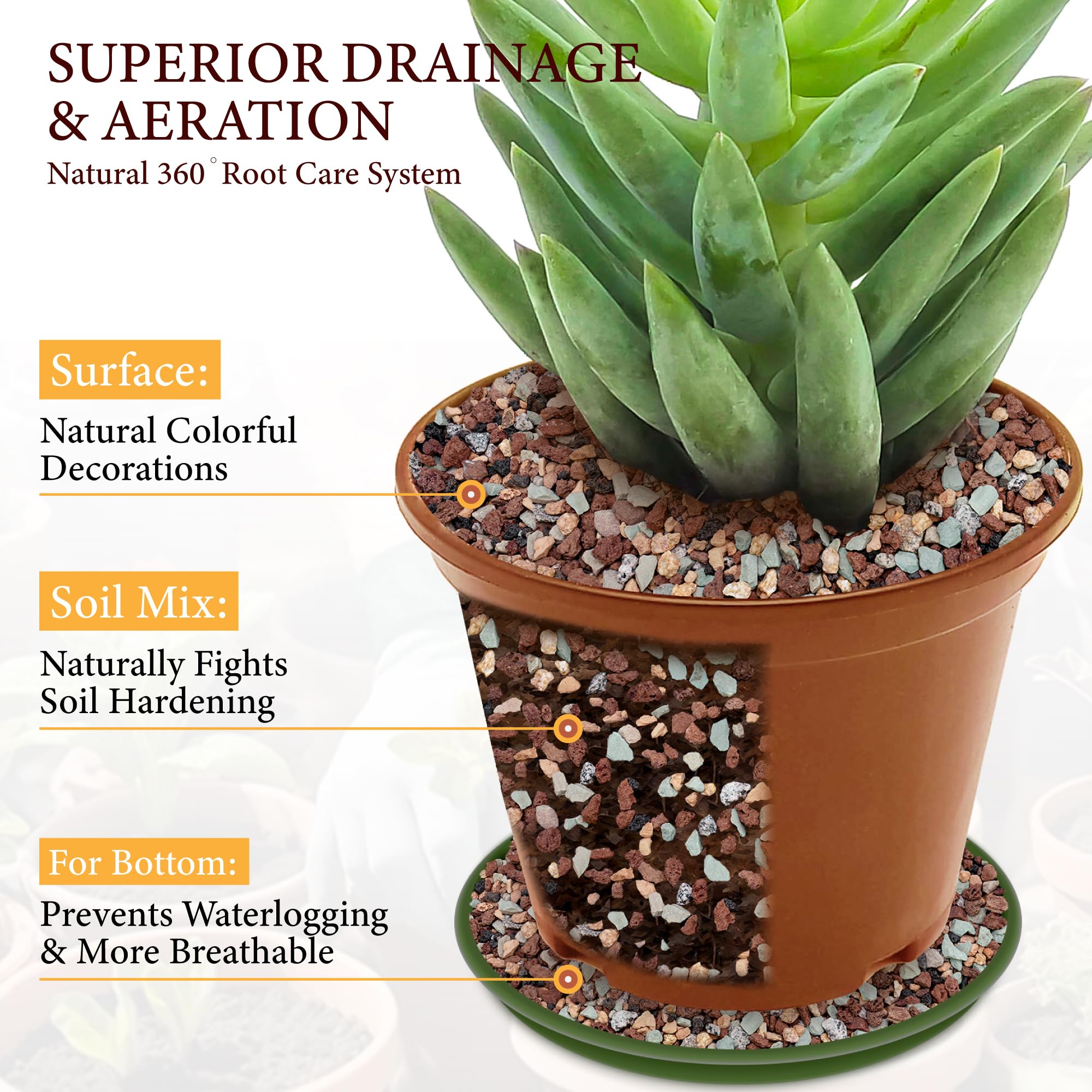 Rocas de lava de 10 libras para plantas, roca volcánica de 3/8 pulgadas para drenaje de cactus | Piedra pómez para plantas, grano hortícola para mezcla de macetas suculentas, orquídeas y bonsái decorativo