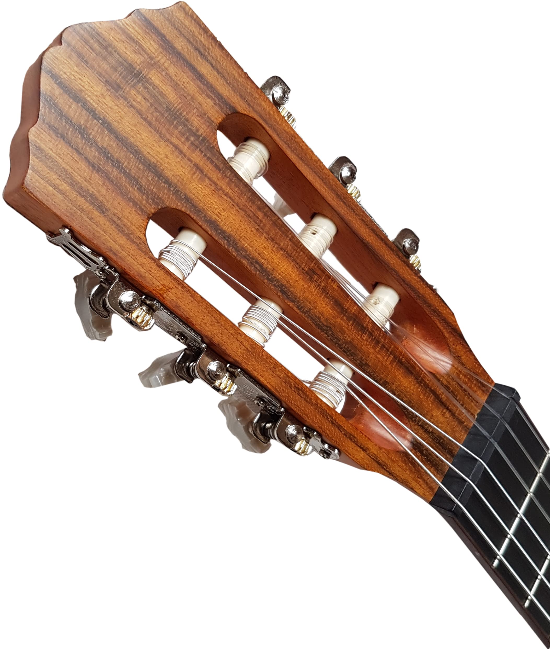 MSA 4/4 GITARRE ZEDER MASSIV - MAHAGONI KONZERTGITARRE - CLASSIC - NATUR - BODEN u. ZARGE MAHAGONI - D´ADDARIO SAITEN - DECKE MASSIV - MCG200M