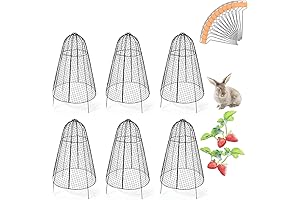 Premium Garden Cloche Domes: Shelter Your Plants in Style