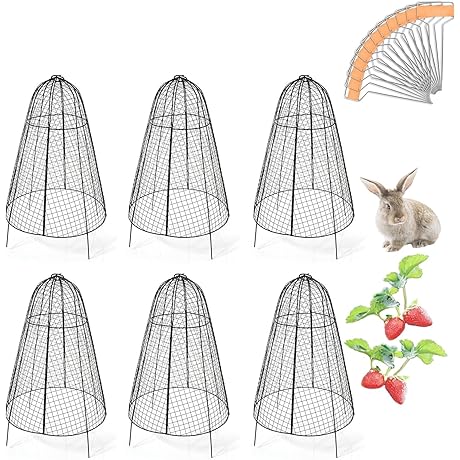 Premium Garden Cloche Domes: Shelter Your Plants in Style