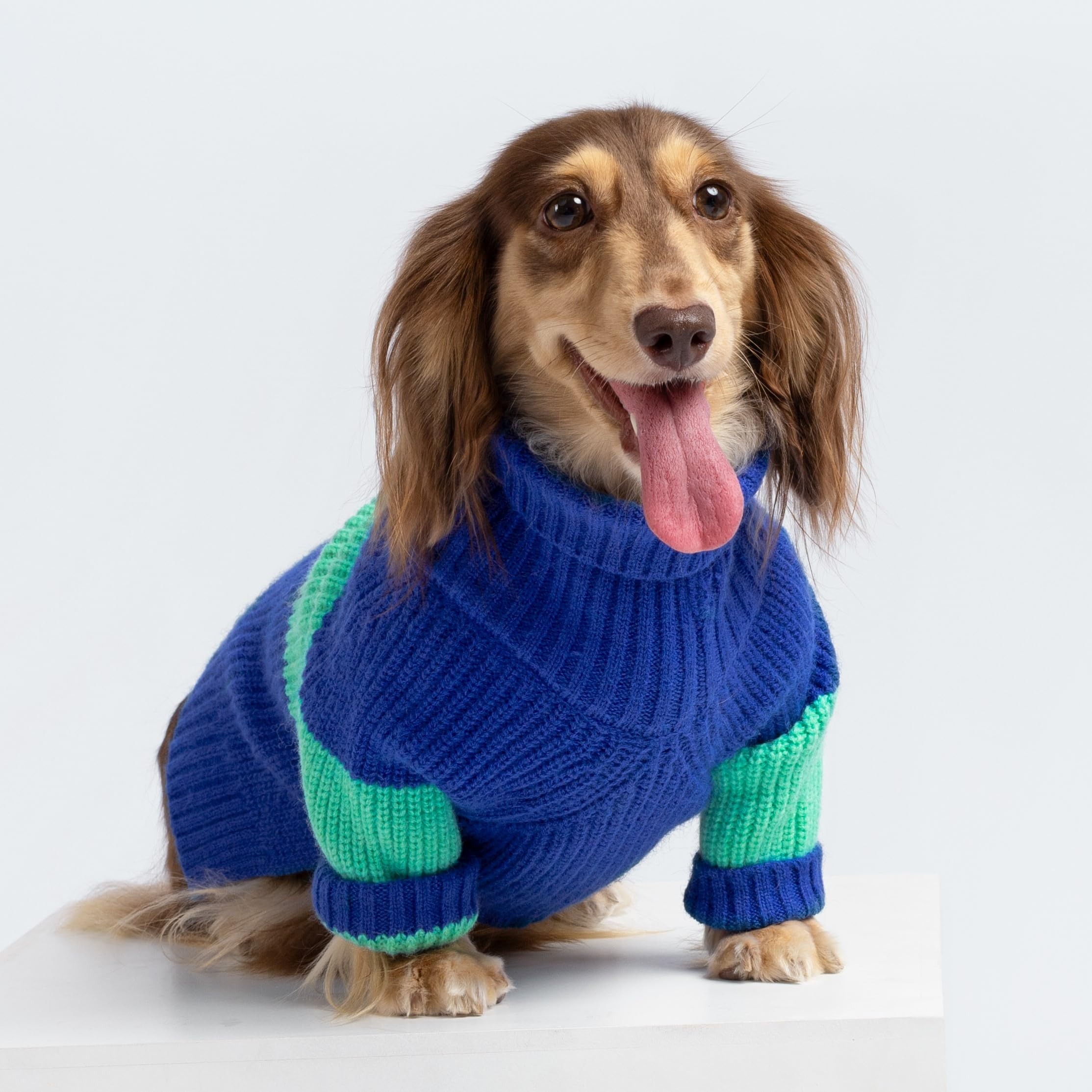 Fitwarm Rollkragen-Hundepullover – Thermo-Fleece, Größe M, Marineblau, Für Kleine Hunderassen
