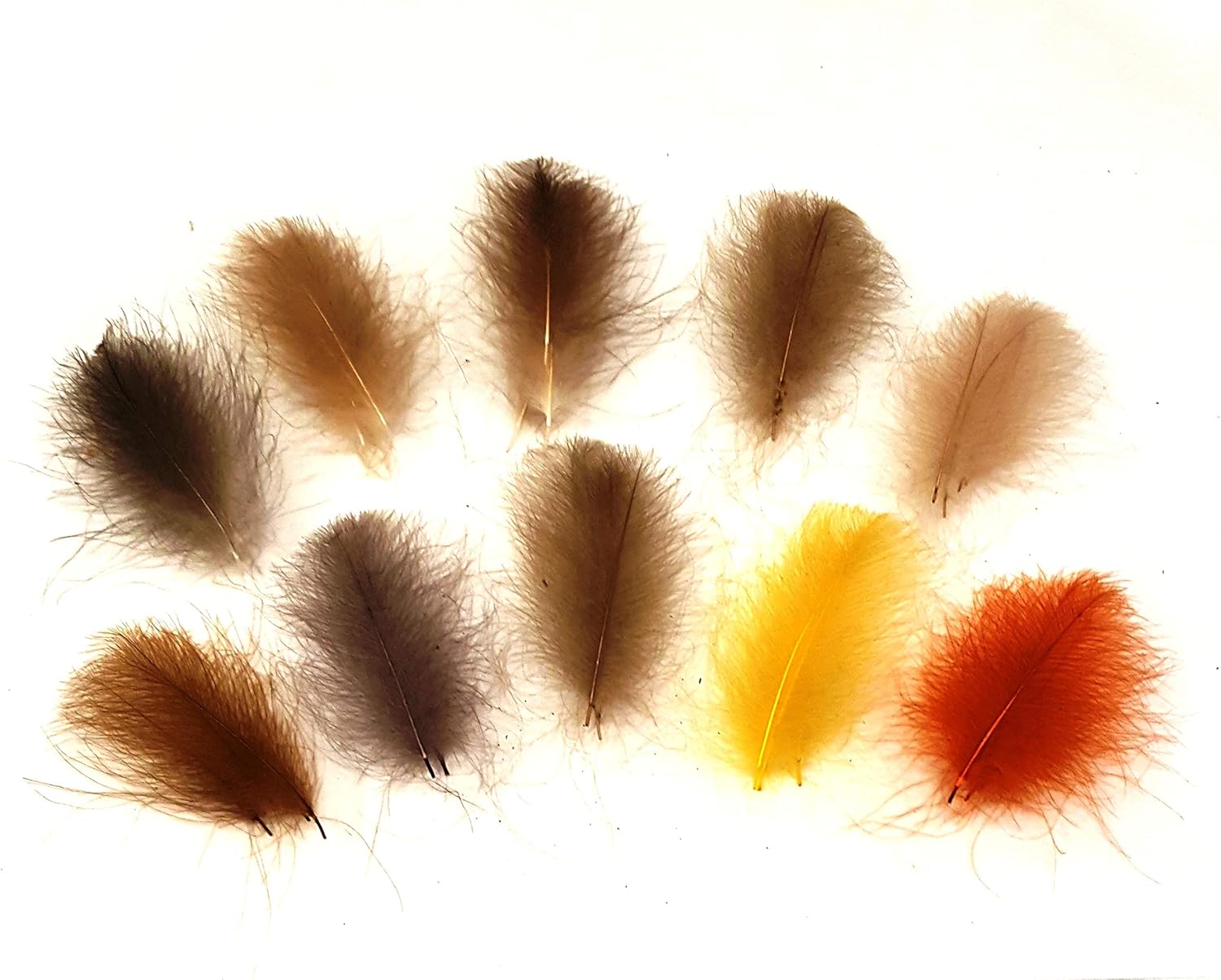 Fly Tying Hemingway's CDC Feathers Set of 10