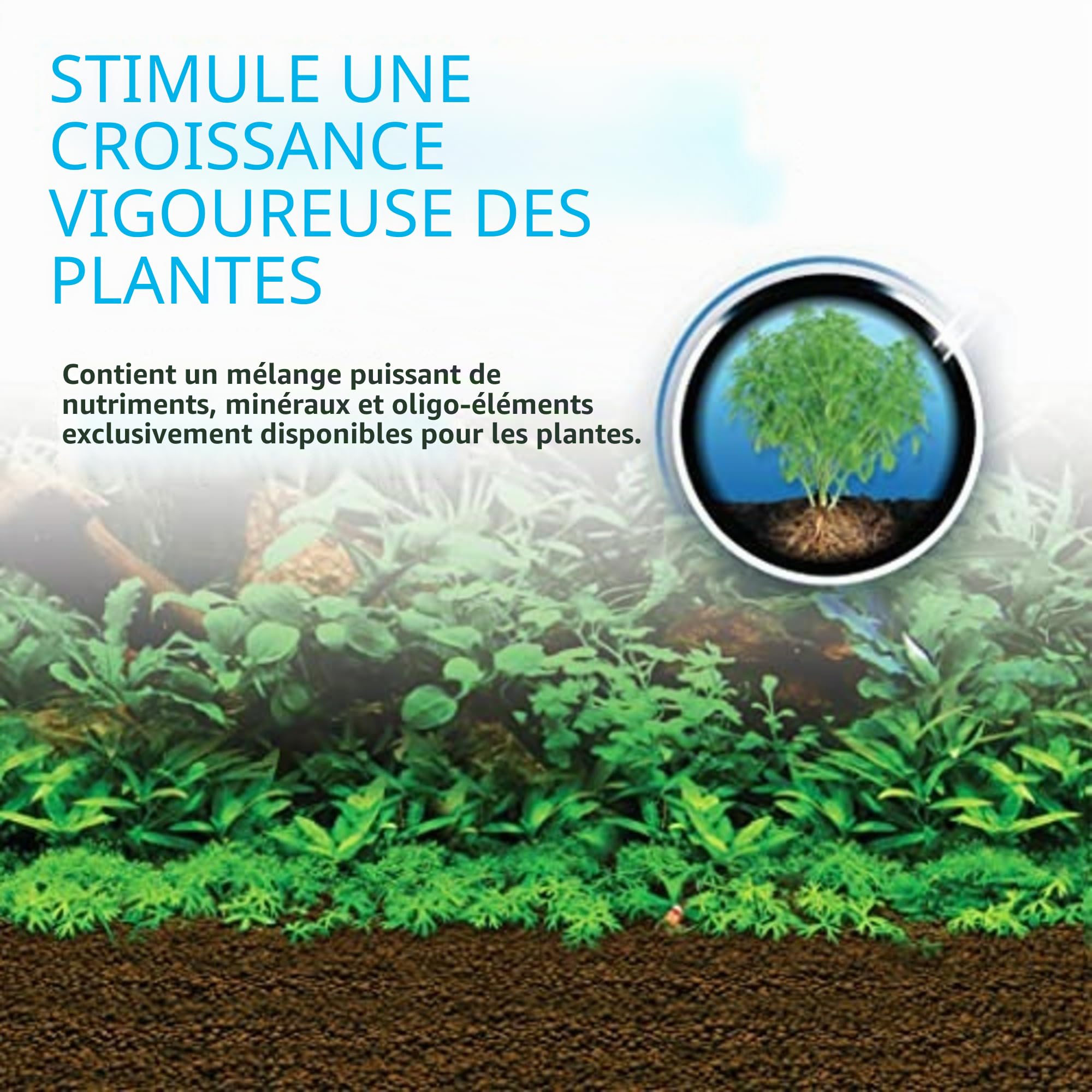 Fluval Bio Stratum Substrat volcanique pour Aquarium planté, 2 kg
