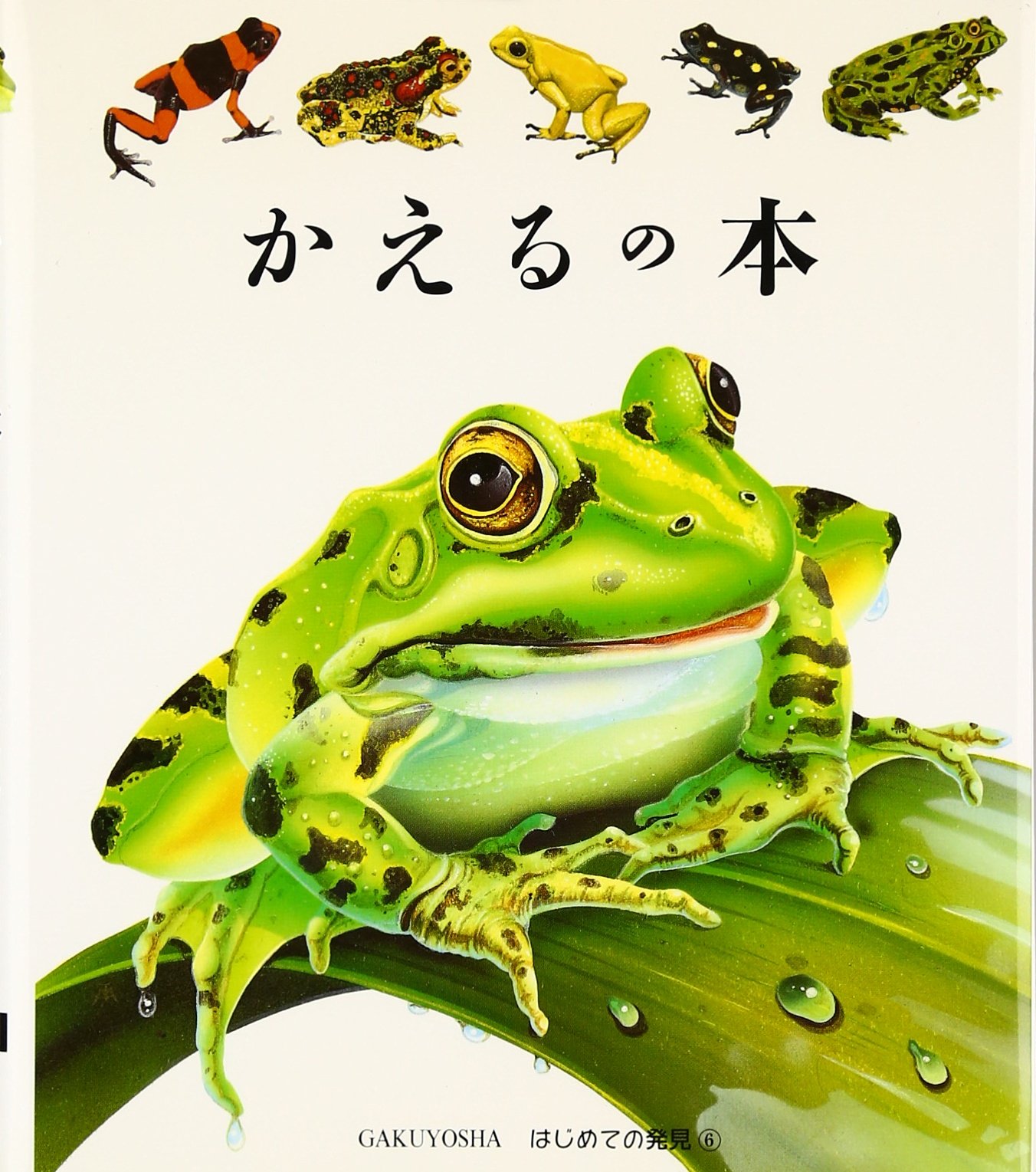 かえる 81hOxIa1jnL.jpg
