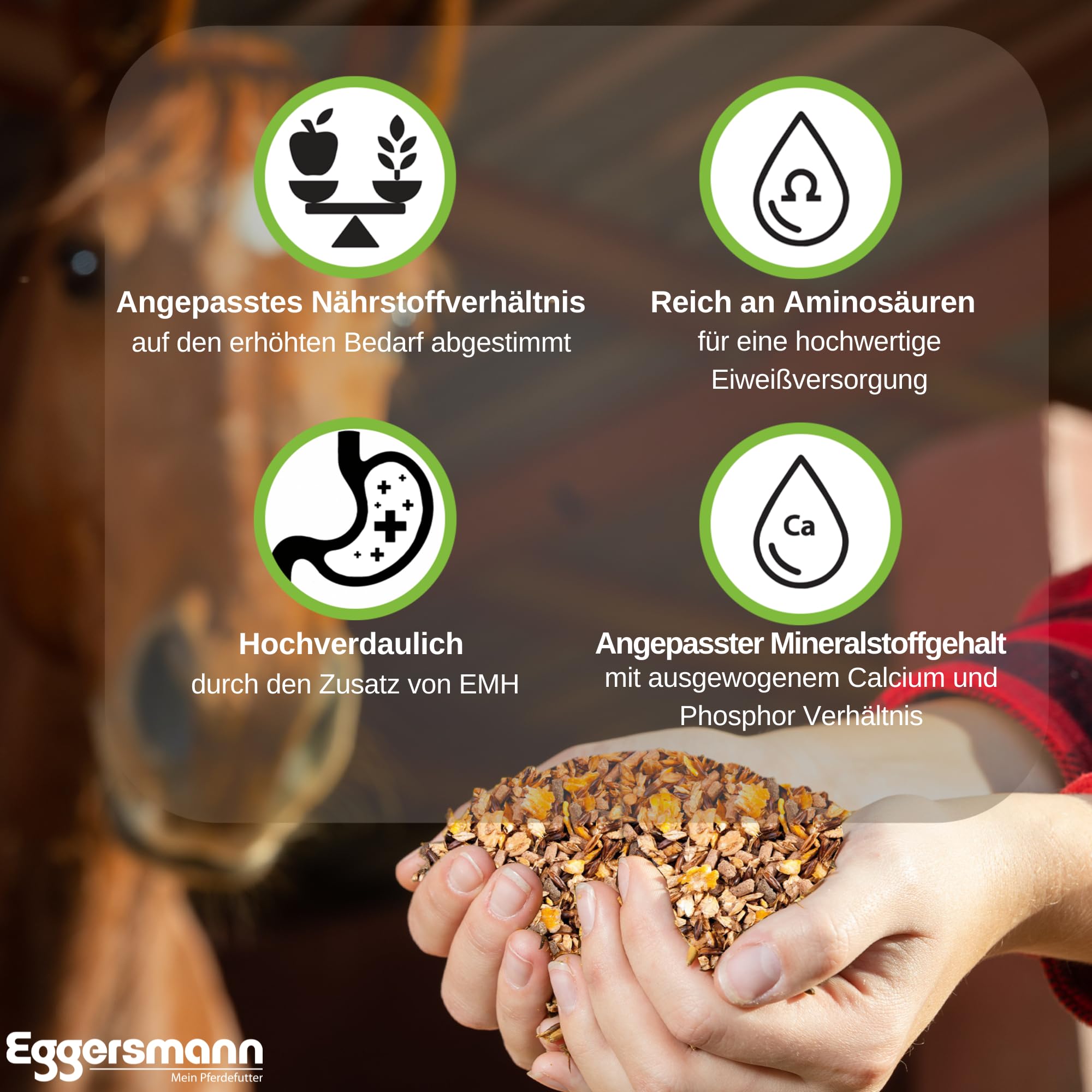 Eggersmann, mangime EHM, müsli per Cavalli da Riproduzione, giumente, stalloni e puledri, 1 Confezione da 20 kg di [Etichetta in Lingua Italiana Non Garantita]