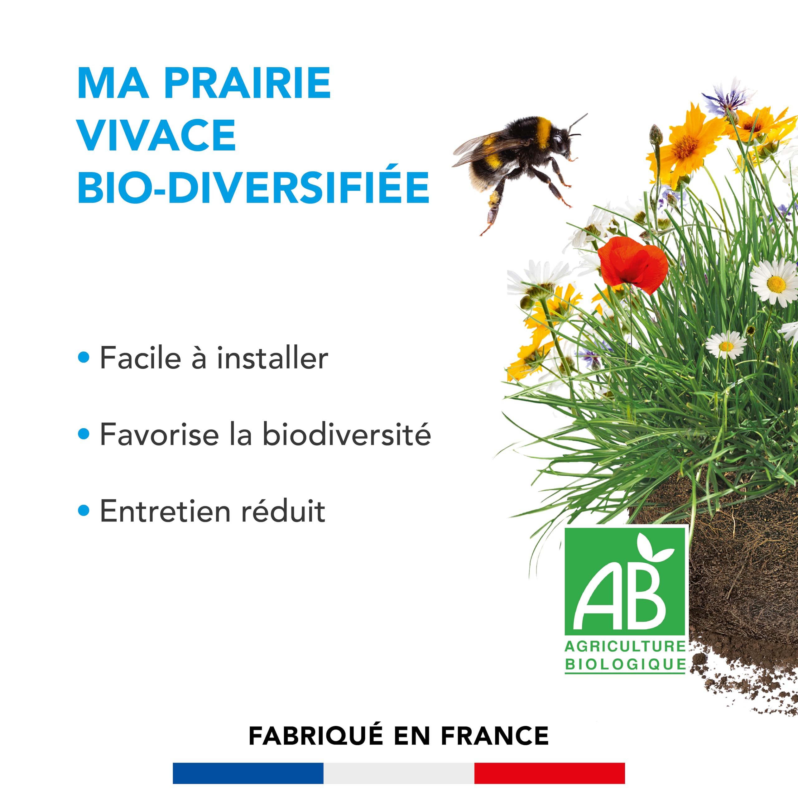 BARENBRUG - Prairie Vivace Biodiversifiée BIO - Facile à Installer - 3KG | Favorise la Biodiversité - Peu d'Entretien - Refuge Naturel pour la Faune - Fabriqué en France