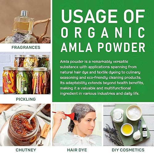 Miniatura 7 de Jiva Organics Polvo orgánico puro de bayas de Amla, 7 onzas, grado alimenticio y sin OMG, para cocinar y cuidar la belleza