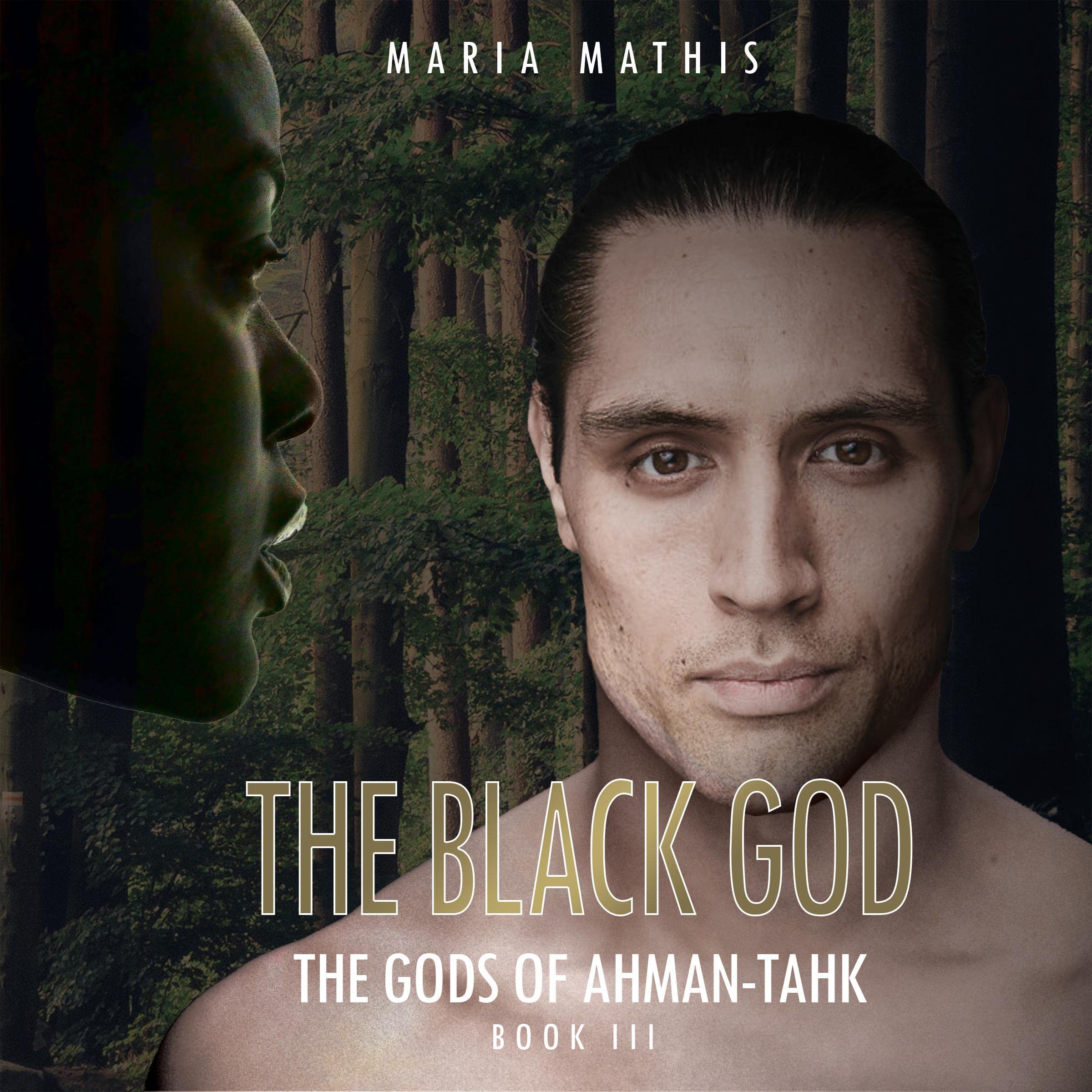 Cover art for The Black God