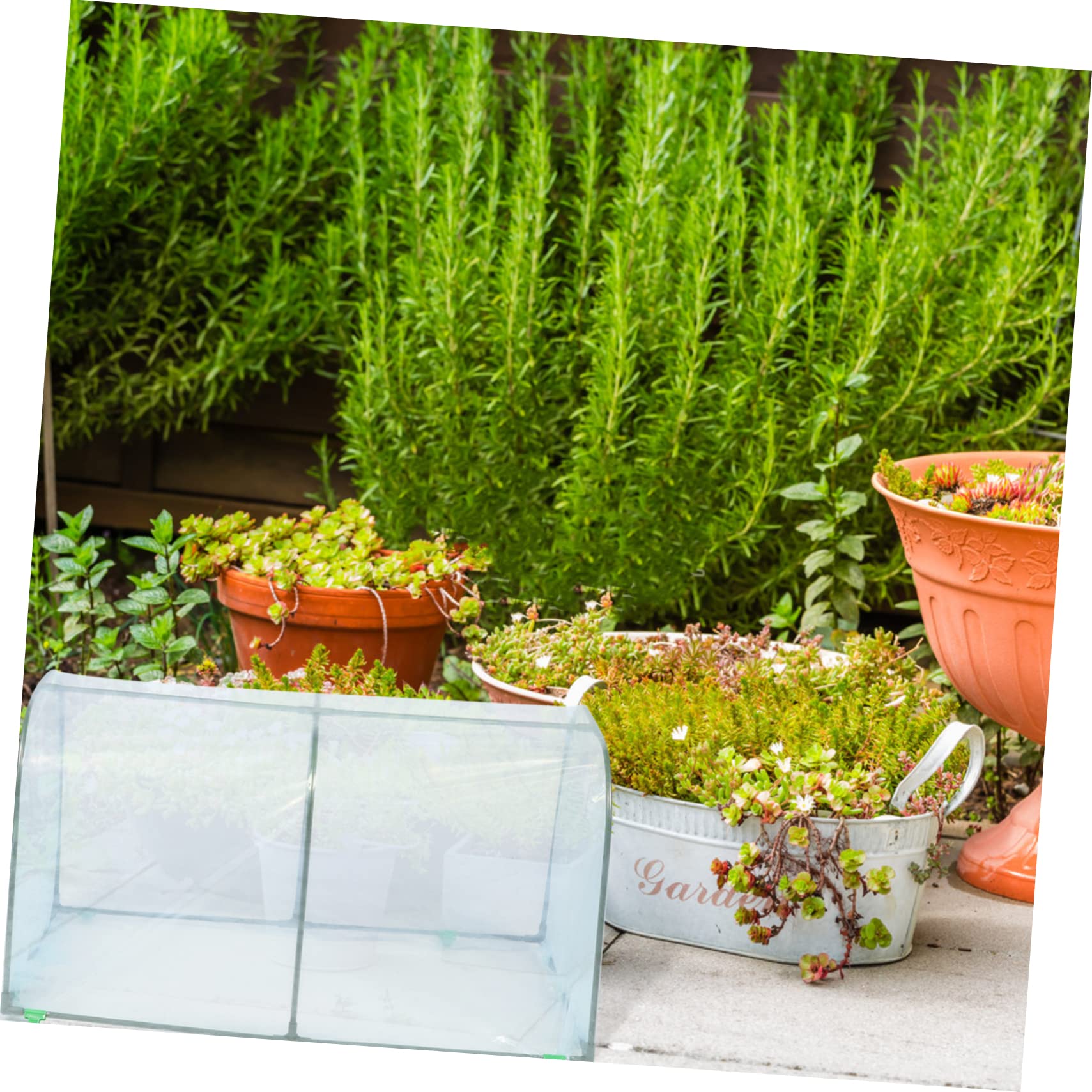 BESPORTBLE Invernadero de Flores para Jardín, Cubierta a Prueba de Frío y Nieve, Protección Térmica para Plantas en Invierno, Funda Transparente Plástico Duradero