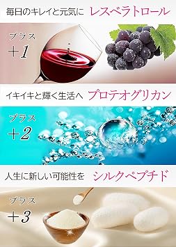 日本サンテ NMN 15000(1粒250mg)国産 高純度100% 美容成分12種 β型 耐酸性 GMP認定工場 酵母発酵法 二酸化チタン不使用 60粒
