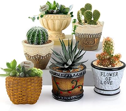 Amazon Co Jp Iwailoft サボテン鉢 植木鉢 ミニ 多肉植物鉢 多肉植物ポット 3号鉢 北欧 おしゃれ 卓上 置物 インテリア プレゼント アメリカのカントリースタイル Diy 工具 ガーデン