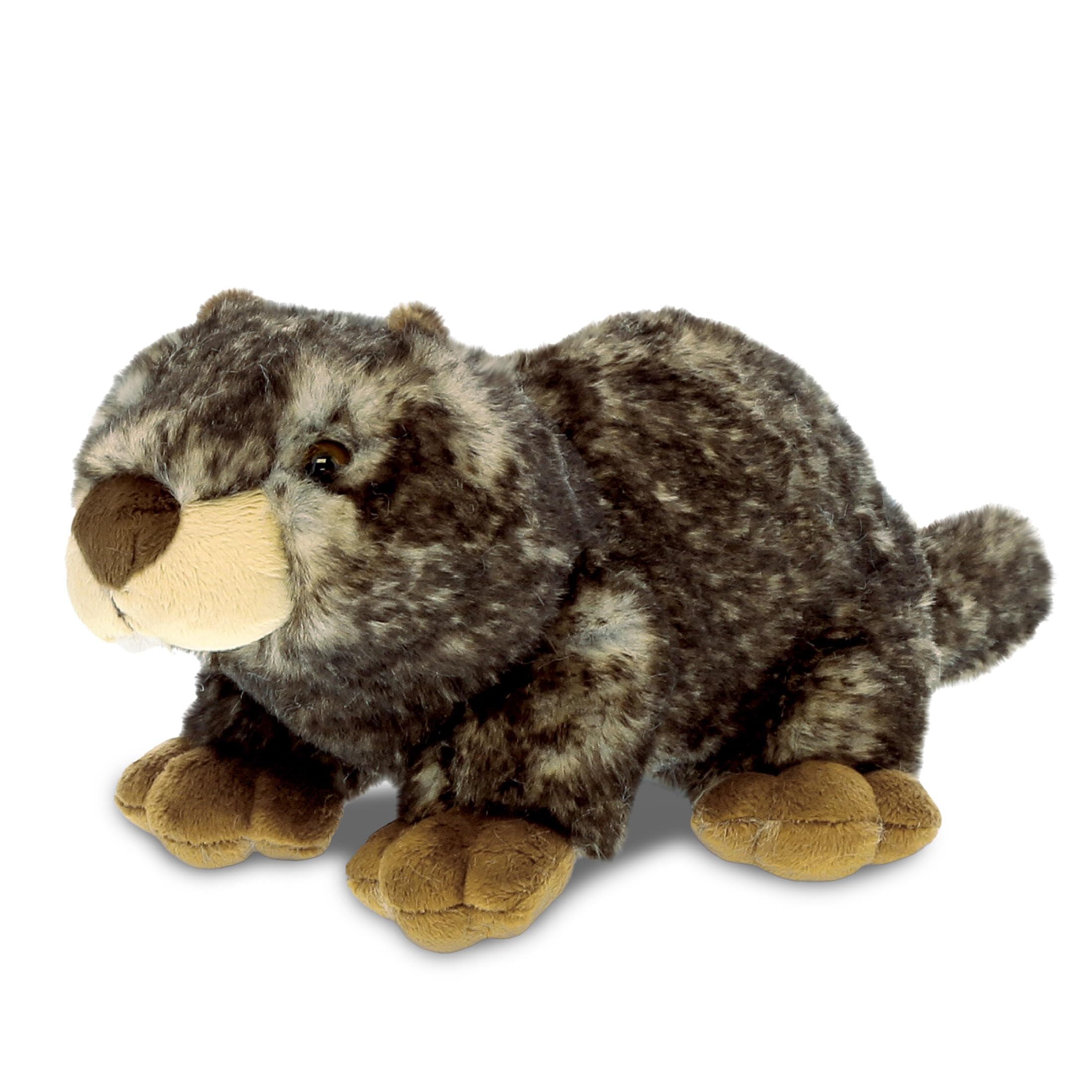 DolliBu Brown Marmot Plush - Super Soft Stuffed Animal, Fluffy Plush Animal Toys for Kids, Teens, and Adults, Cute and Realistic Animal Plush - 11