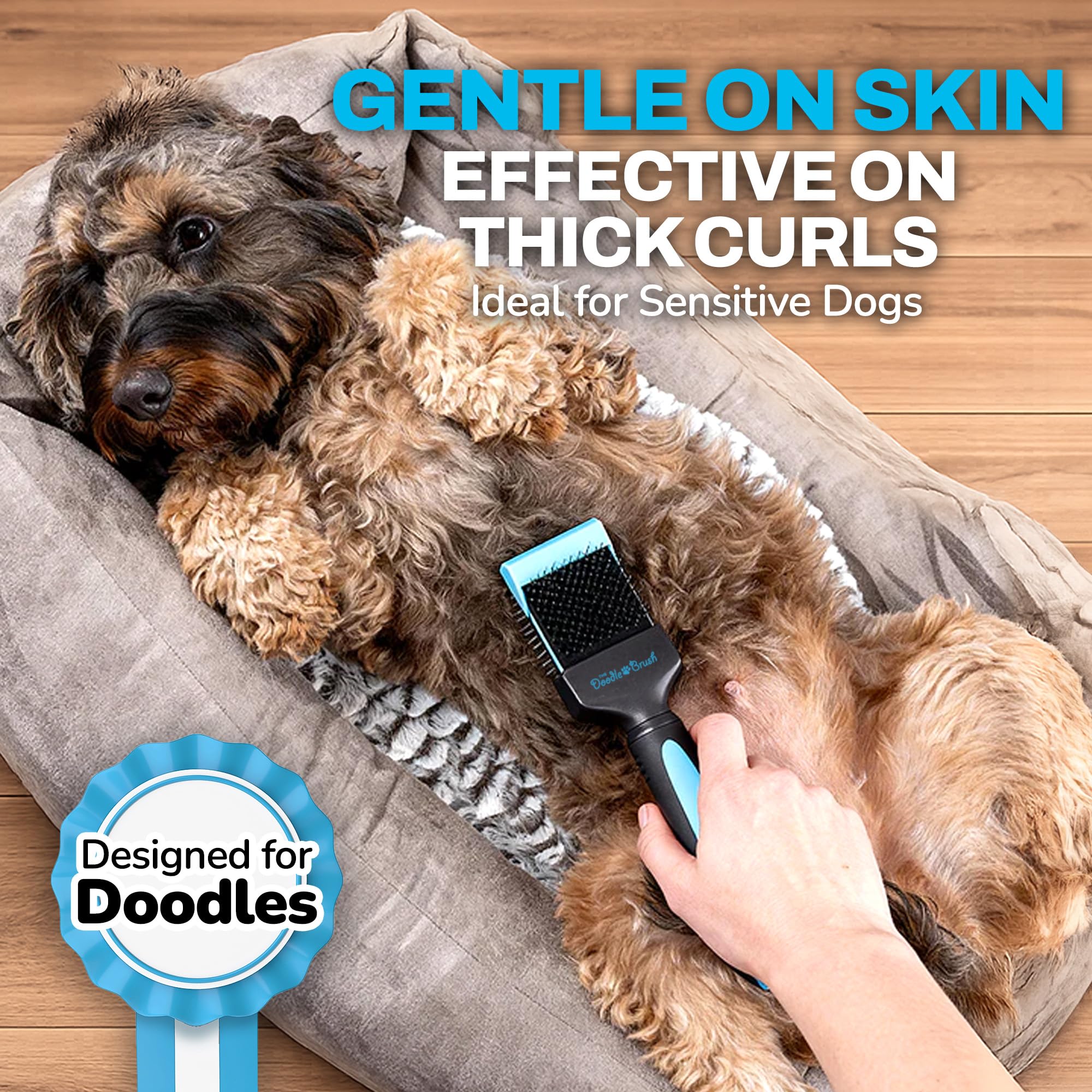 The Doodle Brush Brosse Lissante Tête Simple pour Chiens Slicker | Démêle les Nœuds, Longues Épingles, Tête Flexible, Manche Ergonomique, Pour Doodles, Toilettage Quotidien