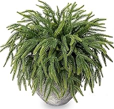 KKSTY 30 Pcs Real Touch Norfolk Pine Branches - 14" Artificial Christmas Foliage Sprigs Fake Greenery Stems for Xmas Vase Filler Wreath Garland Making DIY Crafts Home Decor (Gradient Green)