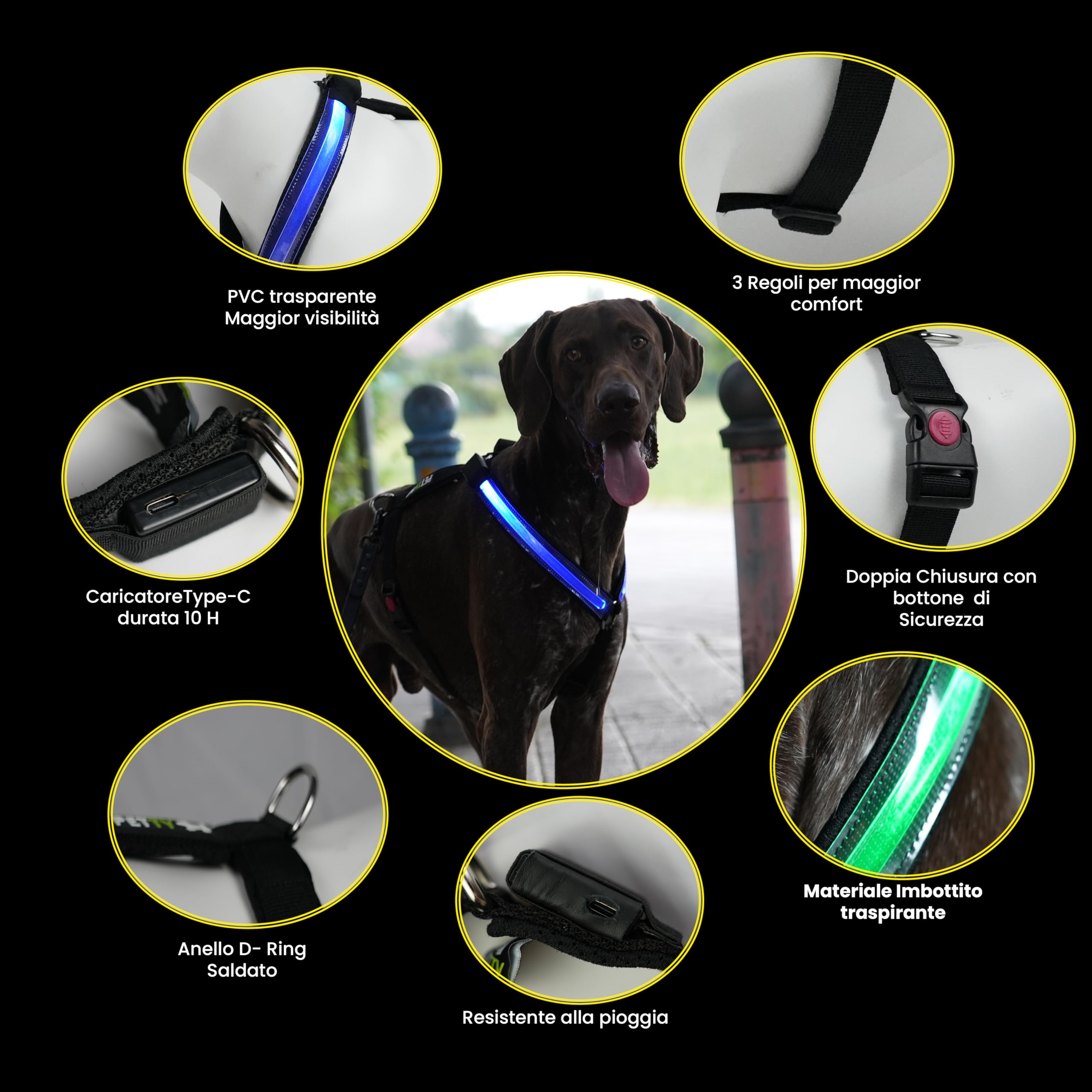 PETTY Pettorina cane ad H con Led Luminosi - Ricaricabili con USB, Imbracatura Anti Tiro Regolabile con Imbottitura Morbida, Traspirante e Chiusura Ermetica (XL, Rosso)
