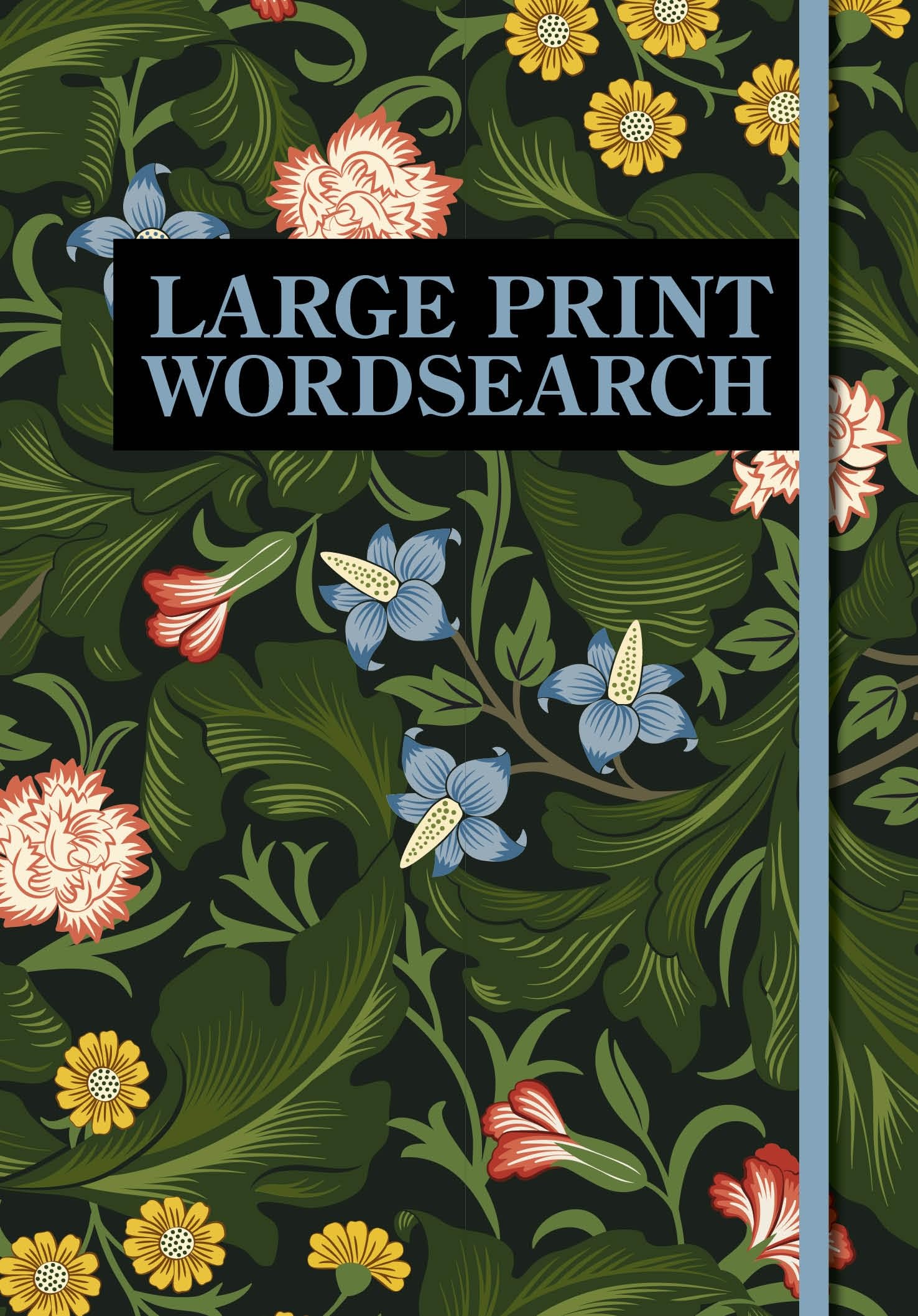 Large Print Wordsearch by Arcturus Publishing Limited (Paperback Book)