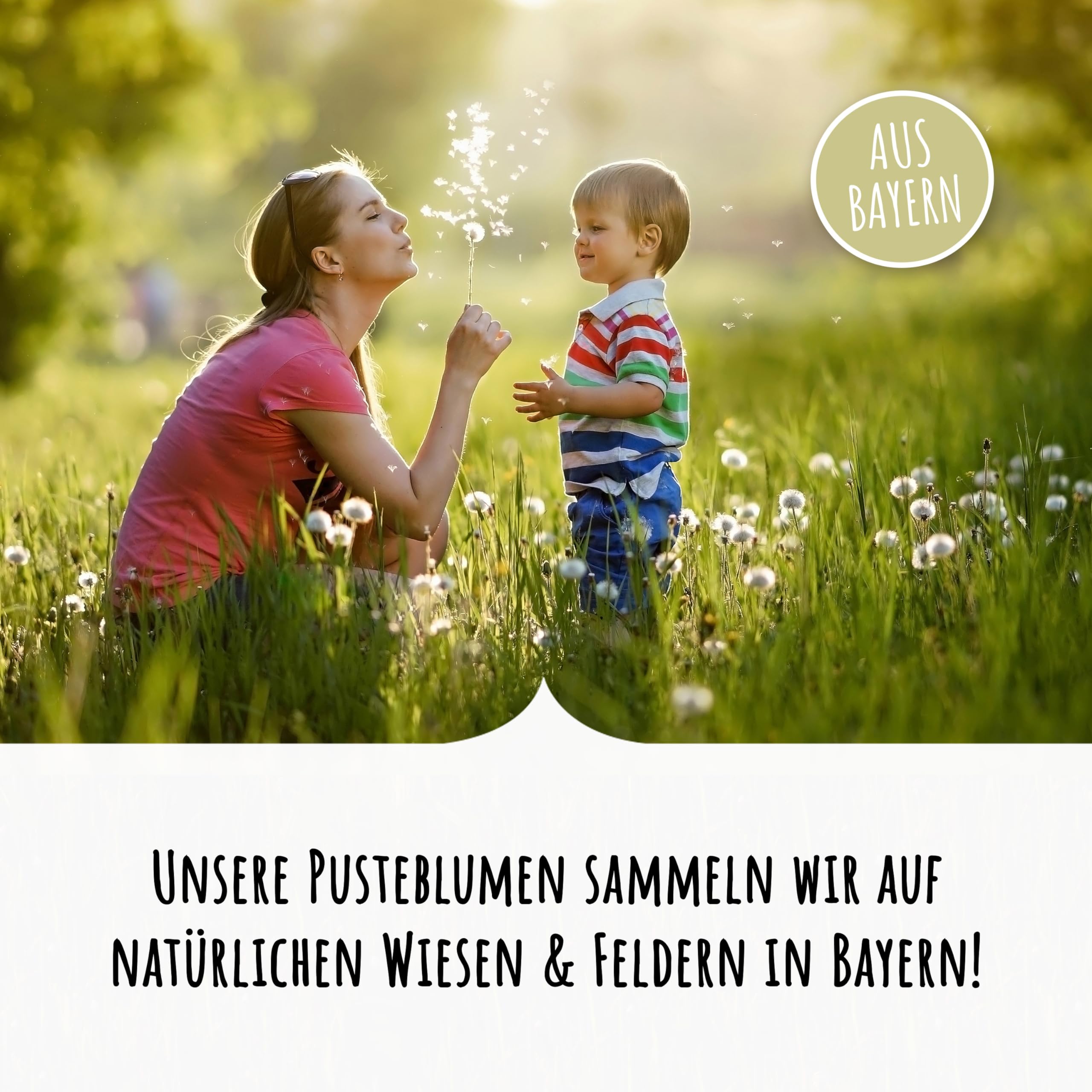 Bolson Wunscherfüller - 10x echte Pusteblume im Glas mit Geschenkbox - Wunschblume für deine Wünsche - handgefertigt in Deutschland - perfekte Geschenkidee für Geburtstag, Hochzeit, Abschluss