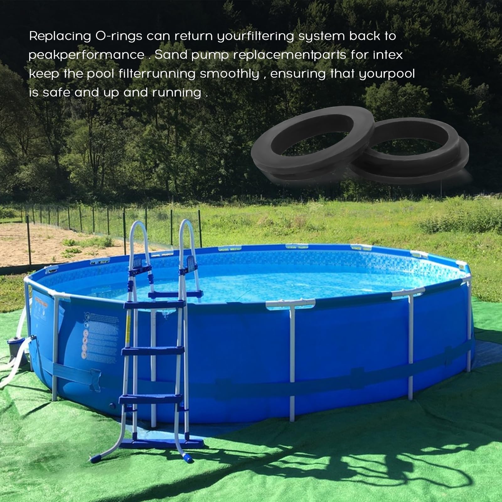 Speck | Speck O-Ring Für Deckel Speck Bettar BADU Top 412.1 - Schwimmbadbau Bei GmbH Bestellen - Foto 3