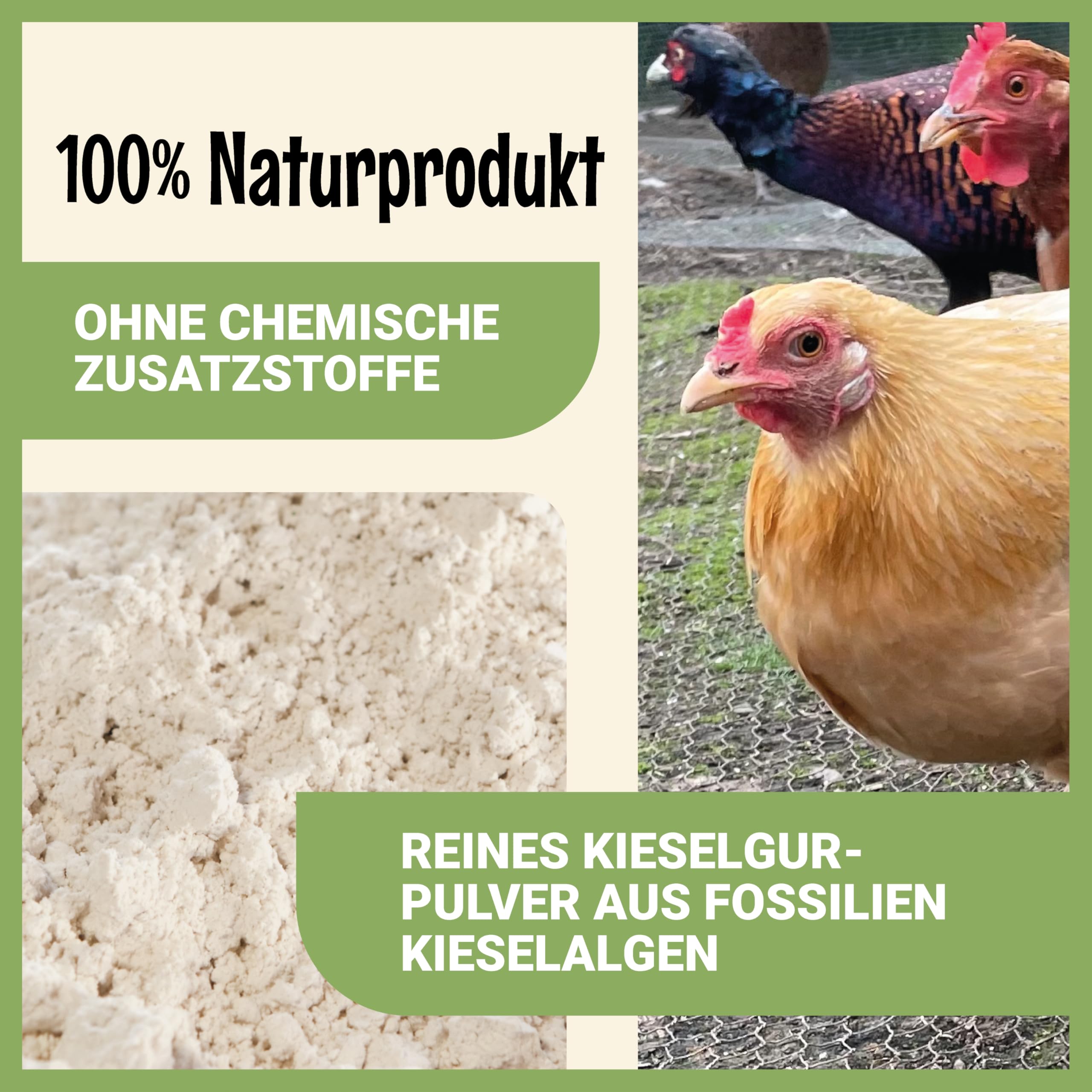 Poudre de terre de diatomée 2,2 kg, produit naturel pour l’entretien des animaux de ferme et d’élevage – particulièrement adaptée aux poules et aux volailles