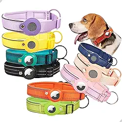 Coleira acolchoada refletiva para cães com suporte para AirTag - Coleira de animal de estimação acessório ajustável para cães pequenos, médios e grandes (Preta, G)