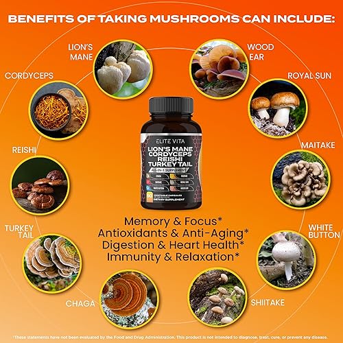 Miniatura 4 de Suplemento de hongos nootrópicos melena de león, Cordyceps, Reishi, mezcla de chaga para mejorar la concentración, la memoria, el apoyo cognitivo,