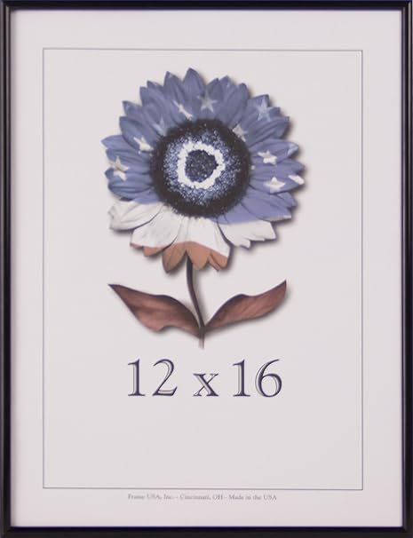 Amazon Com Frame Usa Metal Ii Series 12x16 Frames For Photos And Art Flat Black Choose Color And Size Clothing Shoes Jewelry