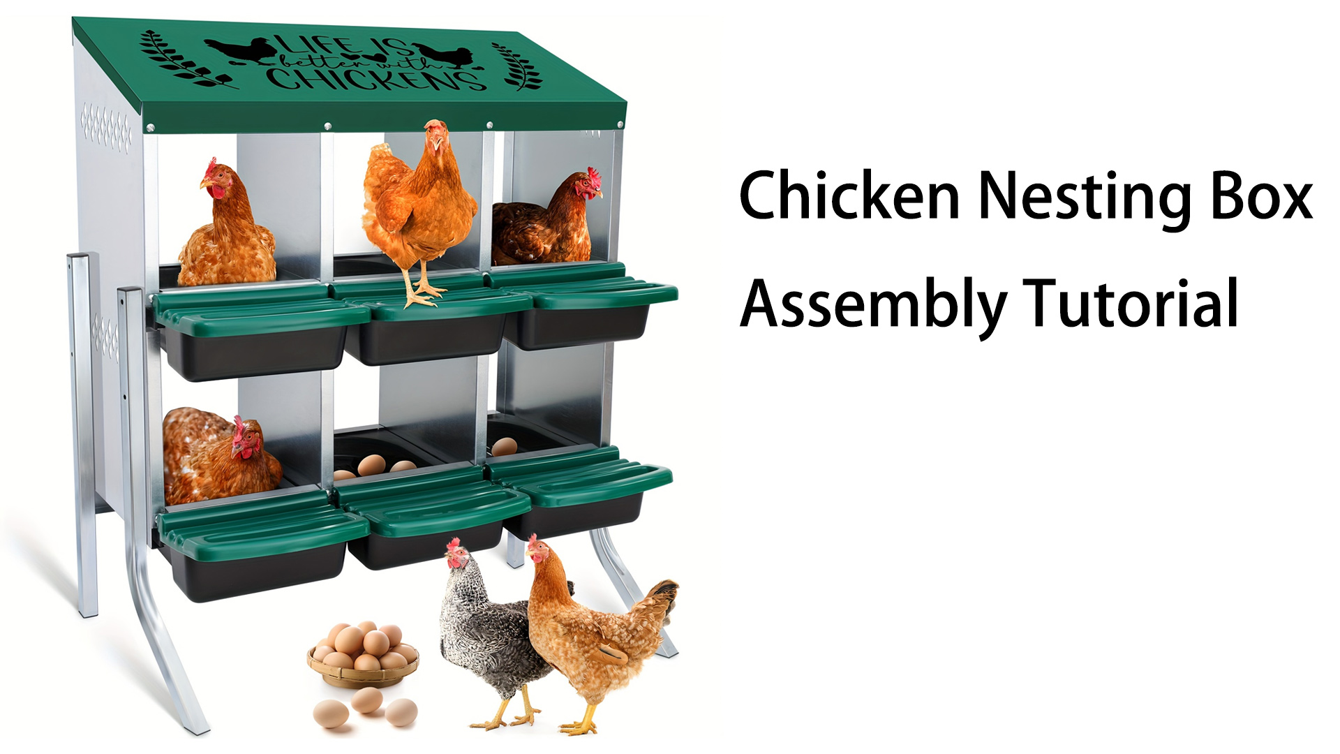 How Many Hens Per Nesting Box: Ultimate Guide for Happy Hens