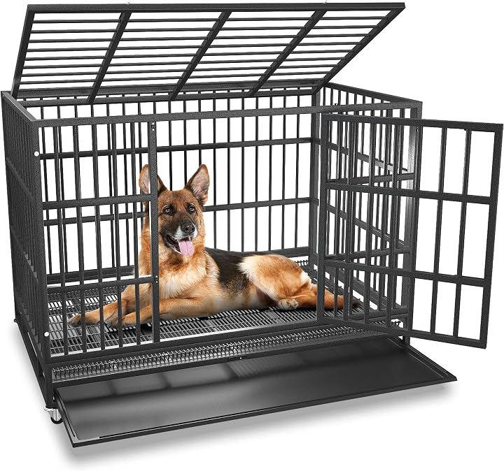 Transparent editorial object representing Lifestyle
