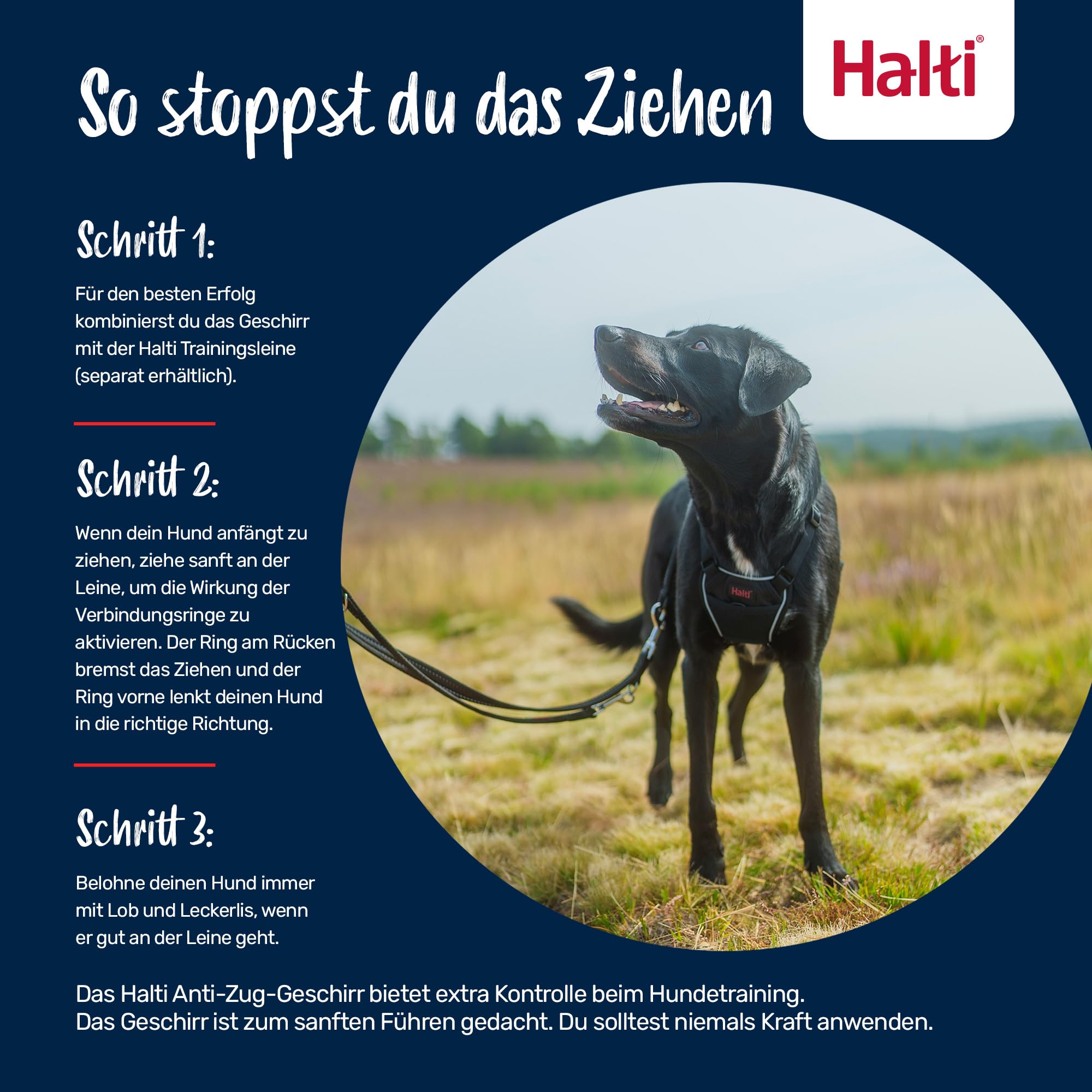 HALTI No Pull Anti-Zug Geschirr - Verhindert, DASS Ihr Hund an der Leine zieht, Gepolsterter Brust- und Beingurt, Reflektierendes Gurtmaterial, Einfache Anpassung und Benutzung (Größe M, Waldgrün) - 5