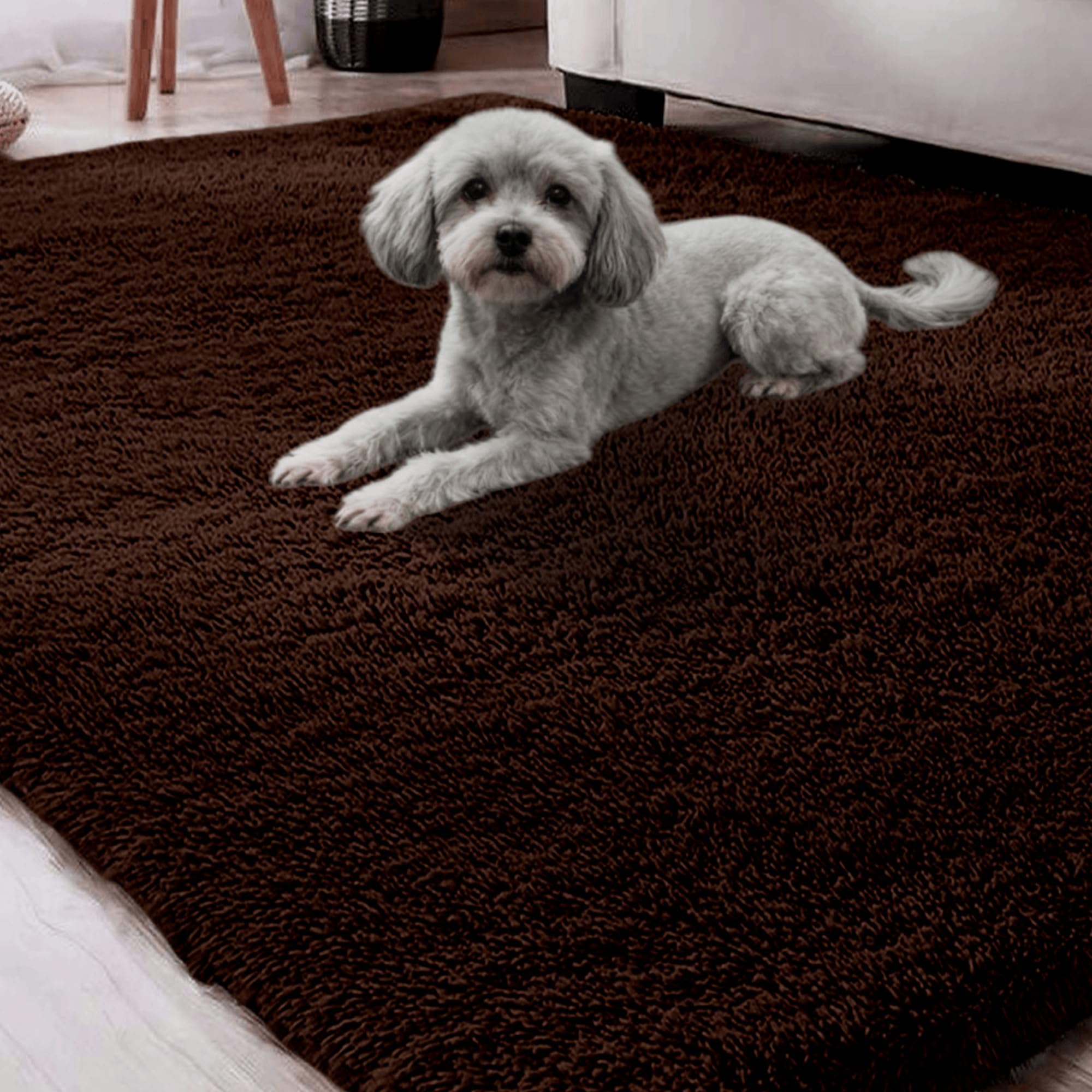 Tapis de salon 240 x 270 cm moderne lavable shaggy grand modèle