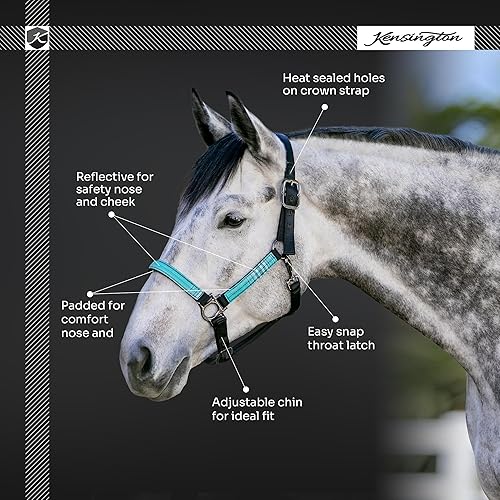 Miniatura 4 de Kensington Premium Nylon Halter Tamaño: XL-Lrg. Color del caballo: 2019 - Imperial Jade