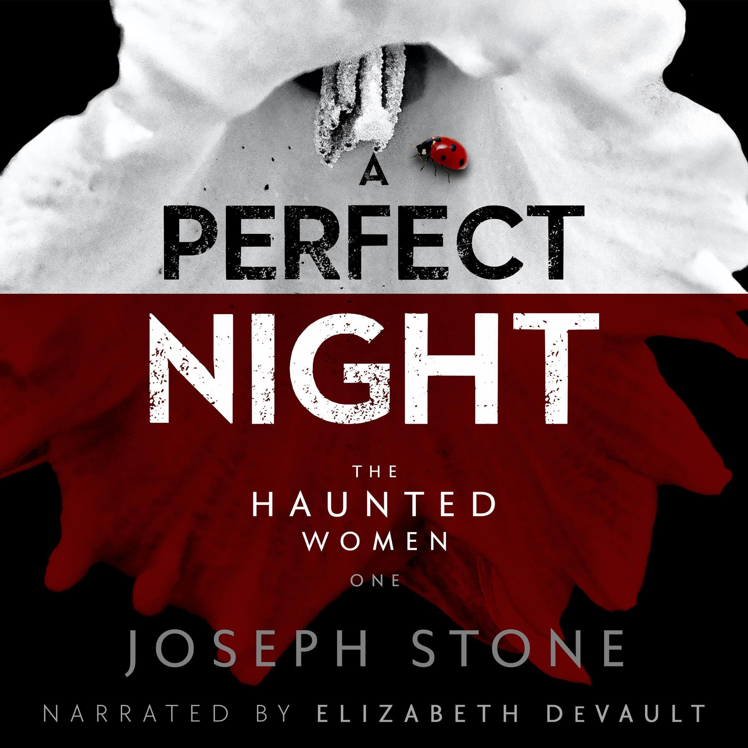 Cover art for A Perfect Night