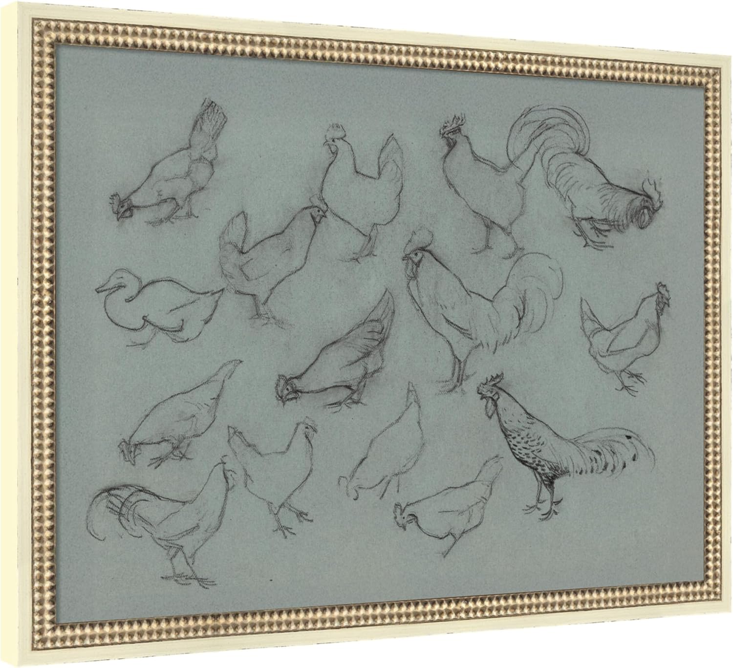 Kate and Laurel Framed Canvas Wall Art Print Study Sheet Chickens Julie de Graag by Nostalgia Prints, 26 x 20, Castellan Distressed White Frame, Vintage, Animal Art for Wall Decor
