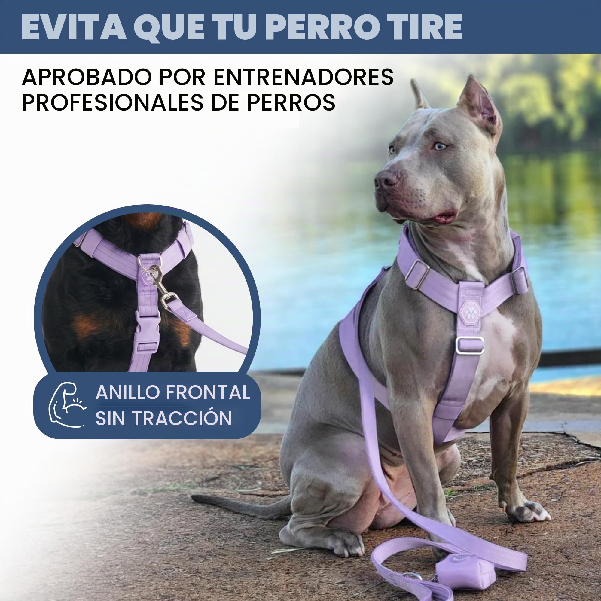 Spark Paws Arnés antitirones para perros grandes, arnés resistente para razas grandes y fuertes, ajustable, diseño halter acolchado en forma de Y con clip frontal, morado, grande
