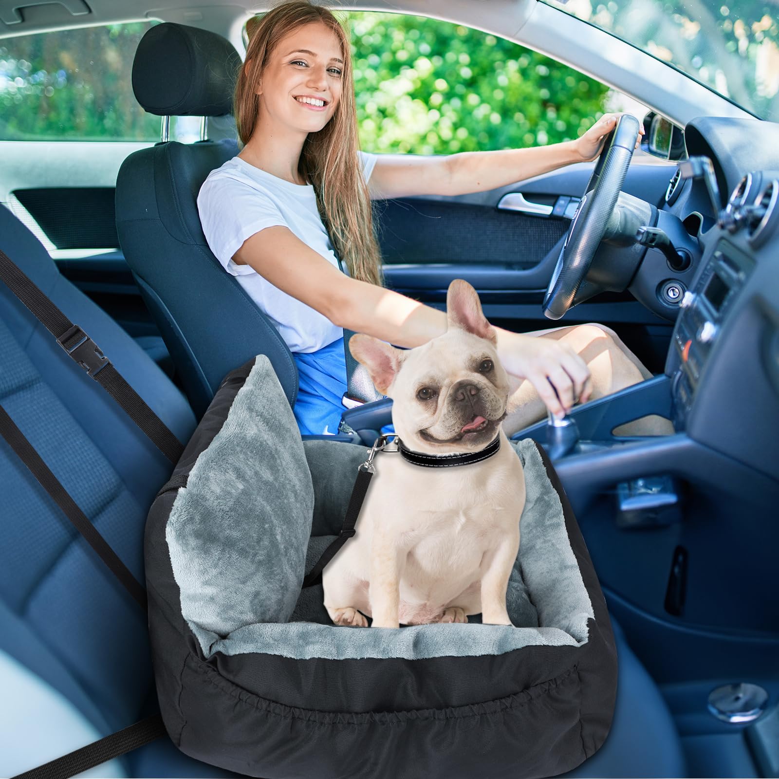 Lannvan Siege Auto Chien, Antidérapant Siege Chien Voiture avec Détachable et Lavable Coussin, Siège Auto pour Chien Chat Petite Taille avec Laisse de Sécurité et Poches de Rangement Latérales, Noir