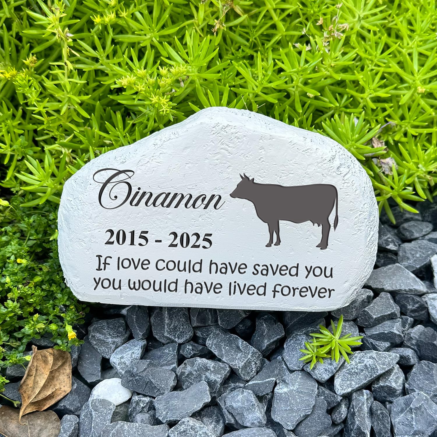 View 3
