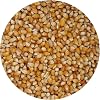 Maíz para palomitas Tiny Kernel, bolsa a granel de 20 onzas, granos para máquina de palomitas, The Hampton Popcorn Company 1