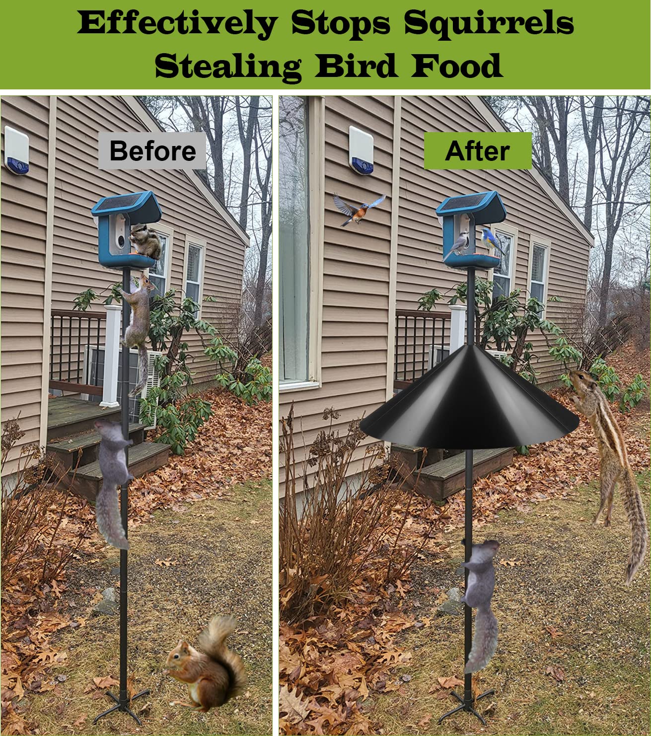 https://m.media-amazon.com/images/I/81hQD0pdFpL.jpg