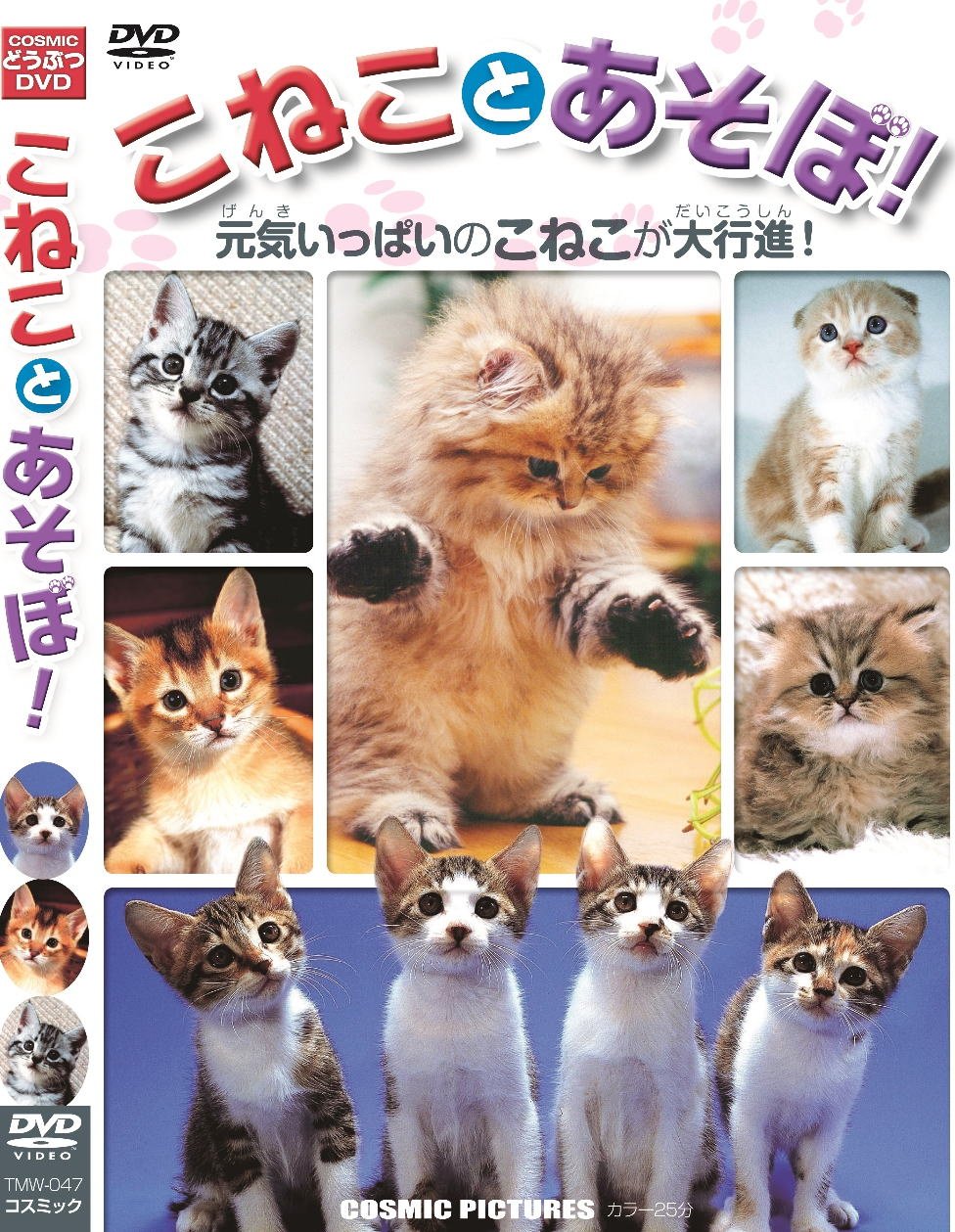 スコ座り猫。 DVD スコ座り猫。 DVD どスコい座り猫、まる。〜養老孟司先生と猫の