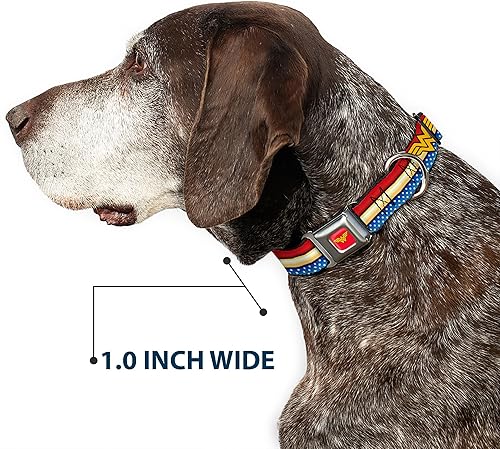 Vista 6 de Collar de perro hebilla de cinturón de seguridad Wonder Woman Logo Stripe Stars Rojo Oro Azul Blanco 15 a 26 pulgadas 1.0 pulgadas de ancho