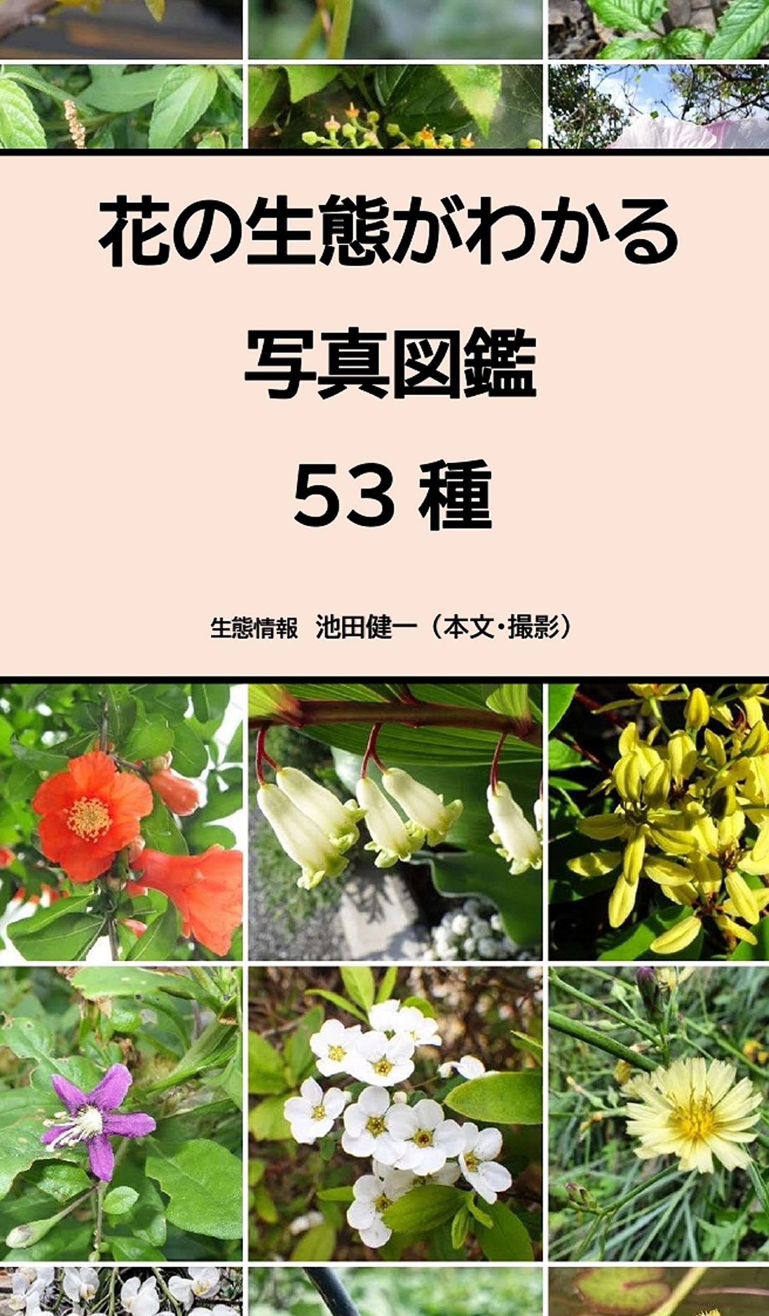 池田健一 池田 健一｜千葉県の仕事・移住・住まいの情報サイト 地域しごとNAVI