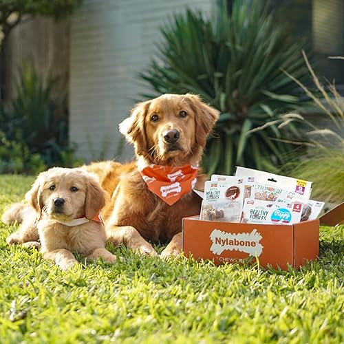Vista 44 de Nylabone Healthy Edibles Wild Natural - Premios para perro con sabor a venado, sabor de larga duración